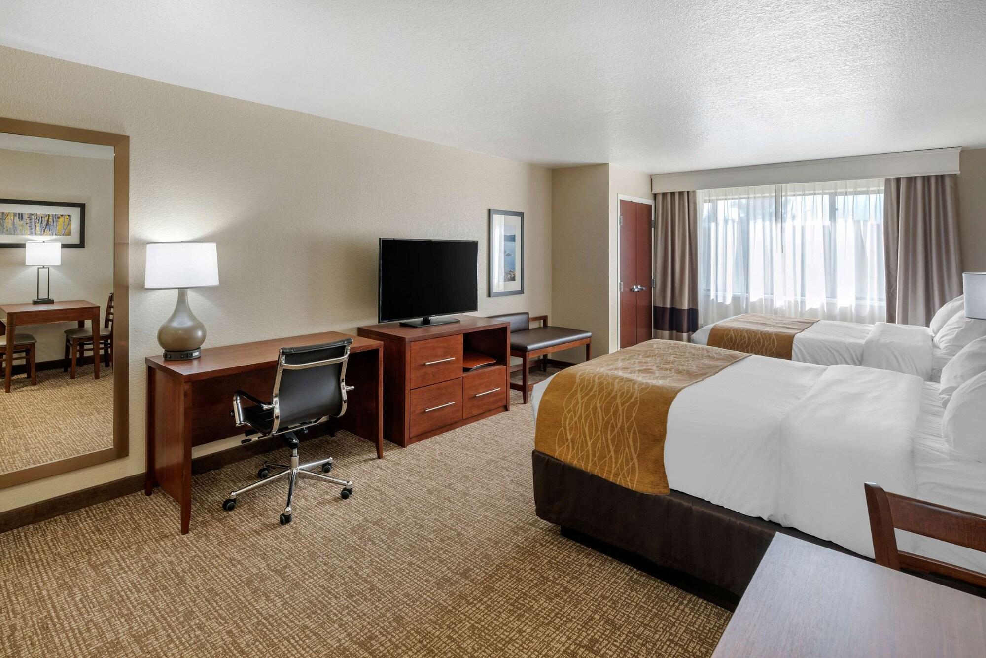 Comfort & Hotel