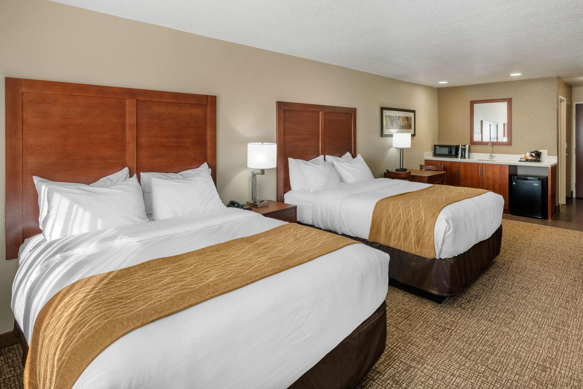 Comfort & Hotel