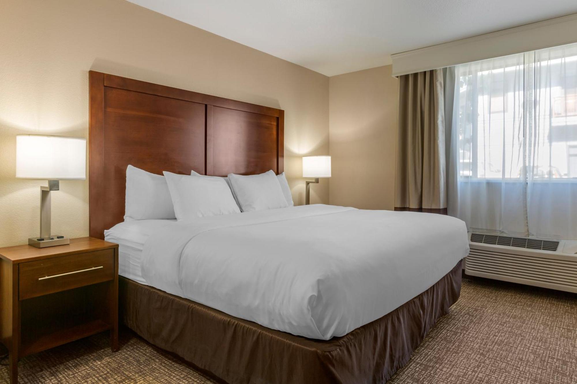 Hotel Comfort &