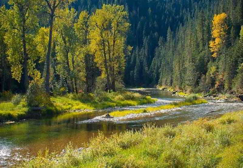 Hotel Springhill Coeur d'Alene