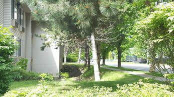 Baymont By Wyndham Coeur D Alene 3*