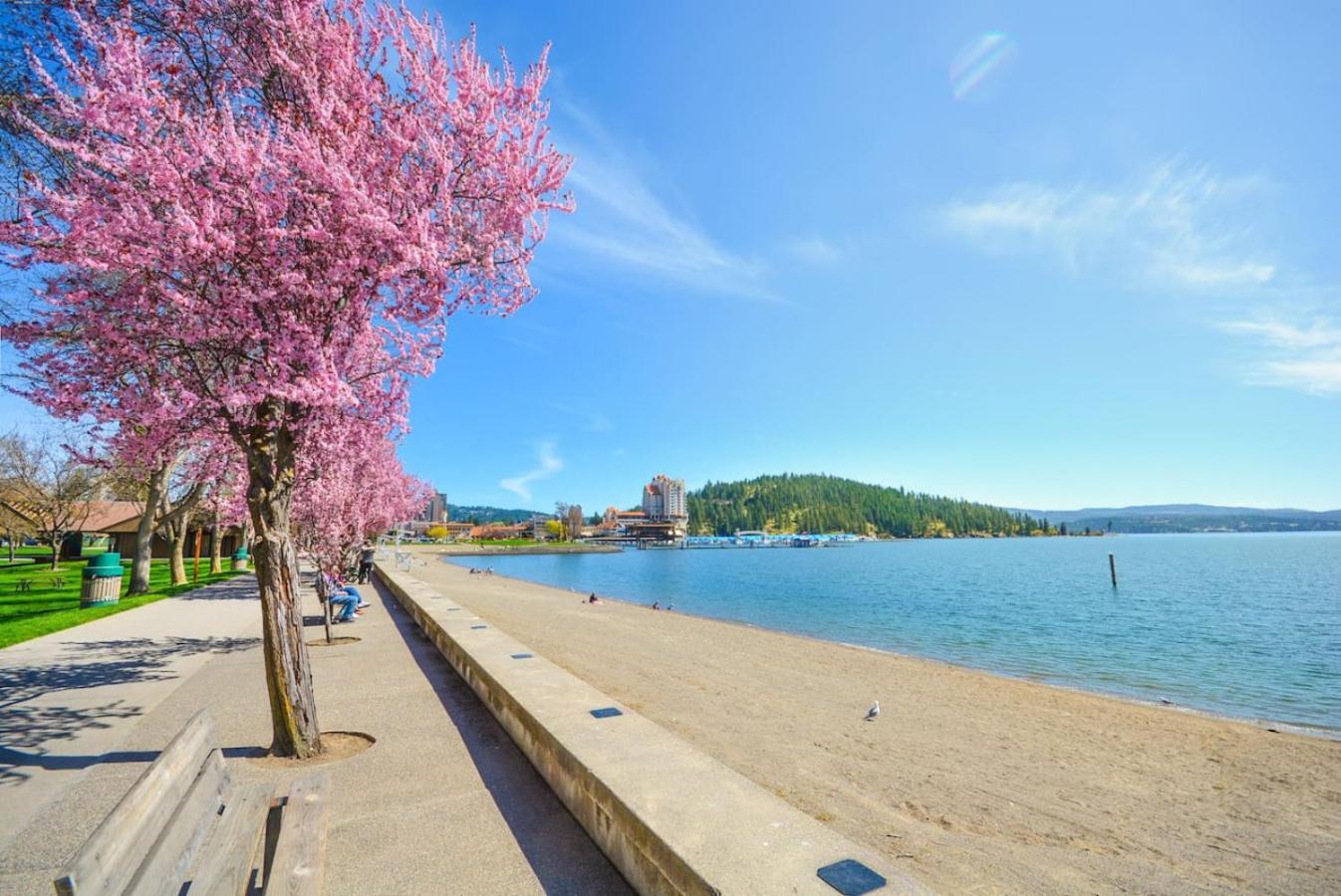 Craftsman Charmer In Downtown Cda Coeur d'Alene